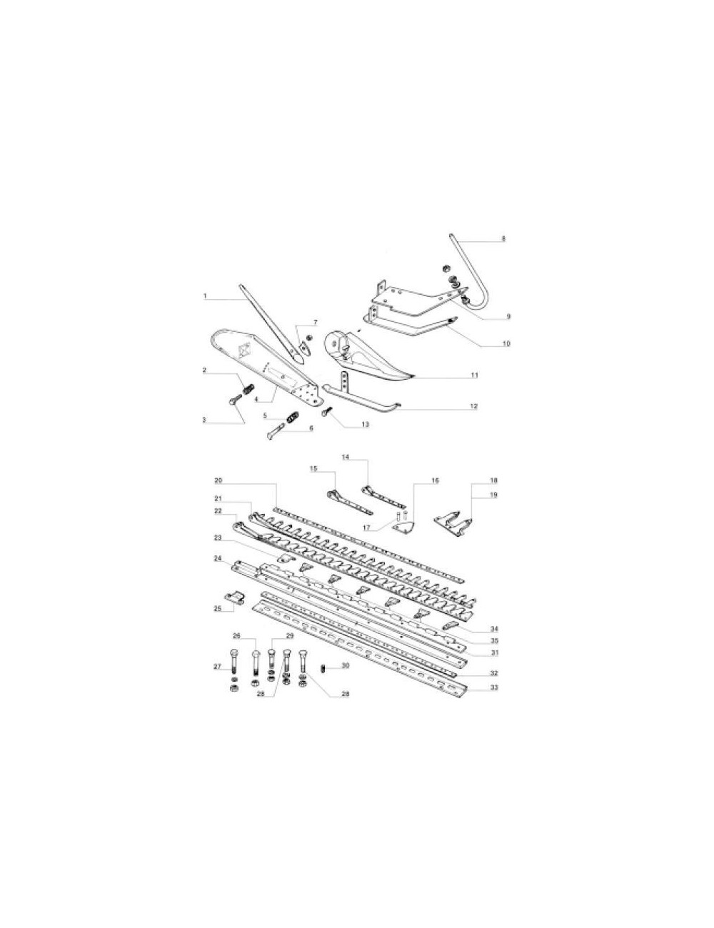 DENTIERA 12 DENTI T. GRIBALDI E SALVIA SUPERIOR