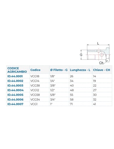 BULLONE FORATO BSP 1/4"