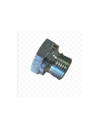 TAPPO MASCHIO ESAGONALE BSP 1/4"