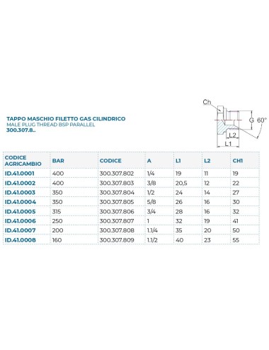 TAPPO MASCHIO ESAGONALE BSP 1/4"