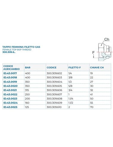 TAPPO FEMMINA GIREVOLE BSP 1/4"