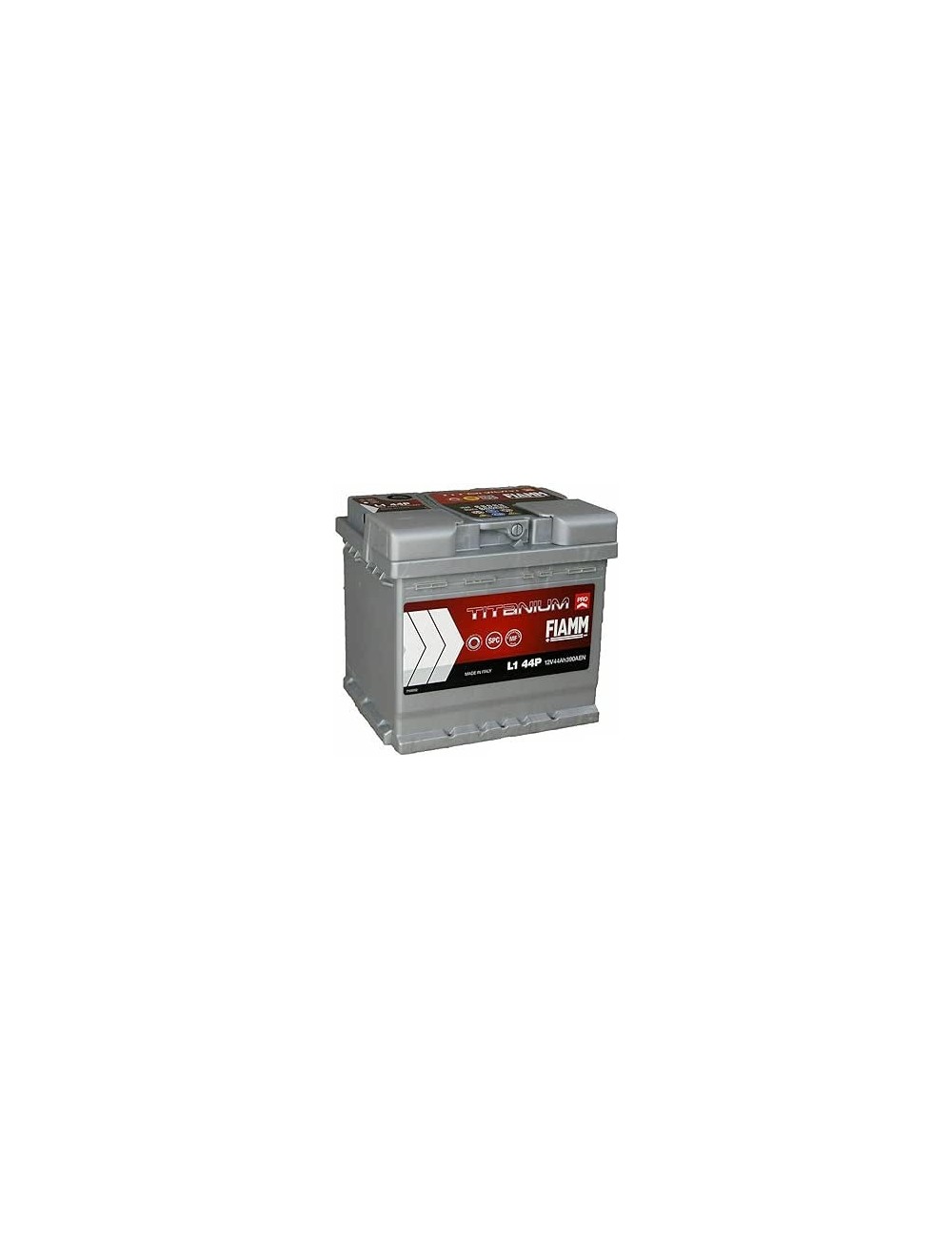 BATTERIA FIAMM 12V/44 AH + DX